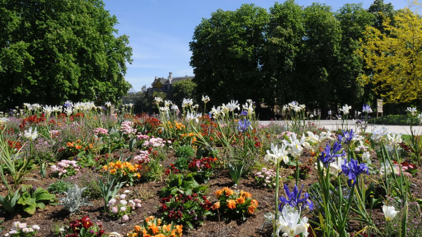 Parc bordelais