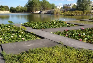 Bacia aquática do Jardim Botânico de Bordéus Bastida com nenúfares brancos e rosa cultivados em tanques, com o rio Garona ao fundo