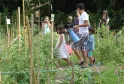 Um grupo de crianças num horto do Parque Rivière em Bordéus, onde um jovem adulto lhes mostra como regar as plantas com um regador azul.
