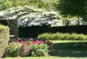 Jardim paisagístico da Reserva Ecológica dos Barails em Bordéus com peónias cor-de-rosa em primeiro plano, sebes de buxo aparadas, banco de madeira e árvores com flores brancas ao fundo.