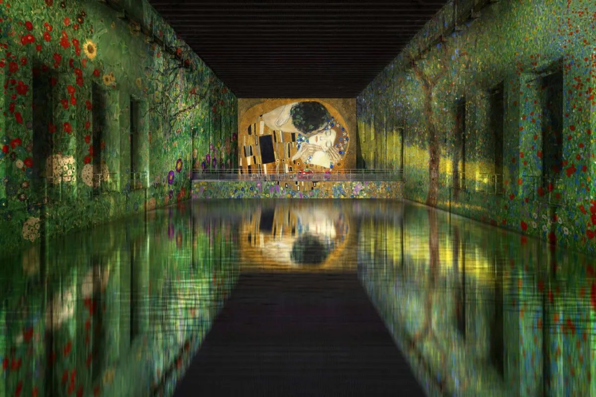 Bassin des lumières